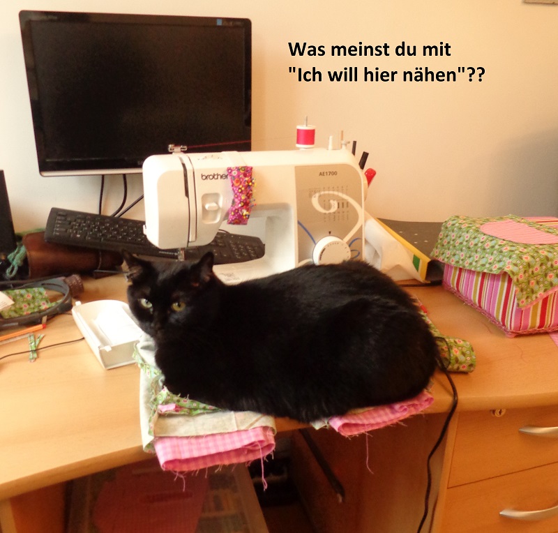 Was meinst du mit &ldquo;Ich will hier nähen&rdquo;? denkt sich meine Katze wahrscheinlich, weil sie auf meinem Schreibtisch hockt.