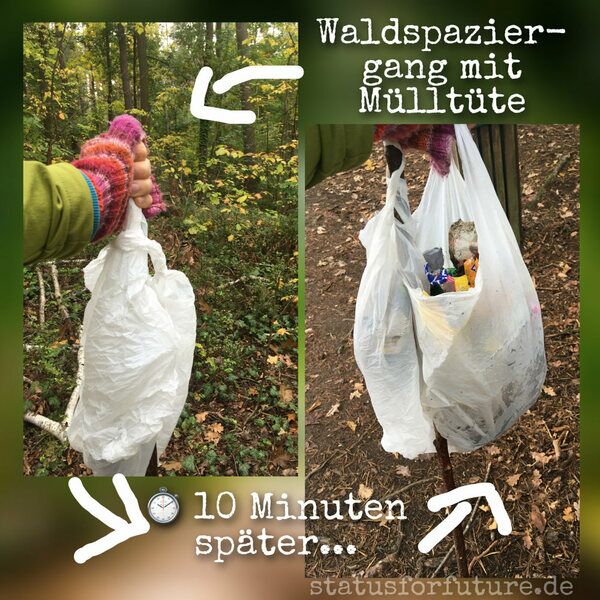 Sammelt beim nächsten Waldspaziergang 10 min Müll ein