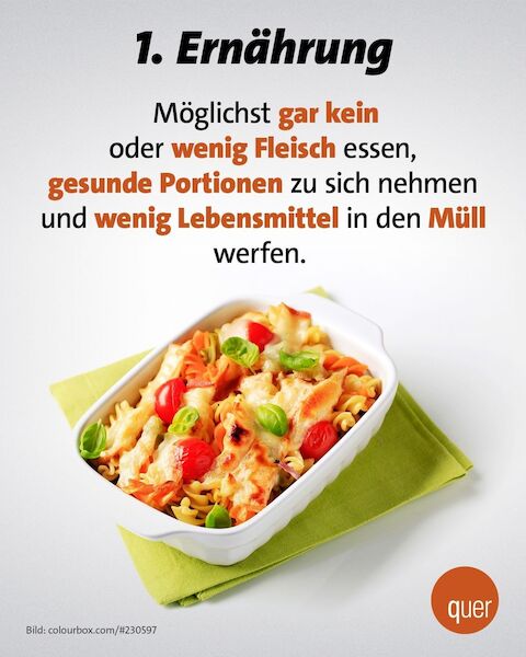 1. Ernährung: Möglichst gar kein oder wenig Fleisch essen, gesunde Poritionen zu sich nehmen und wenig Lebensmittel in den Müll werfen.